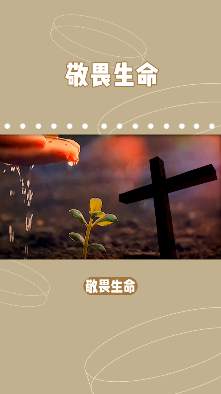 中国生命科学关怀,中国生命科学十大进展2019