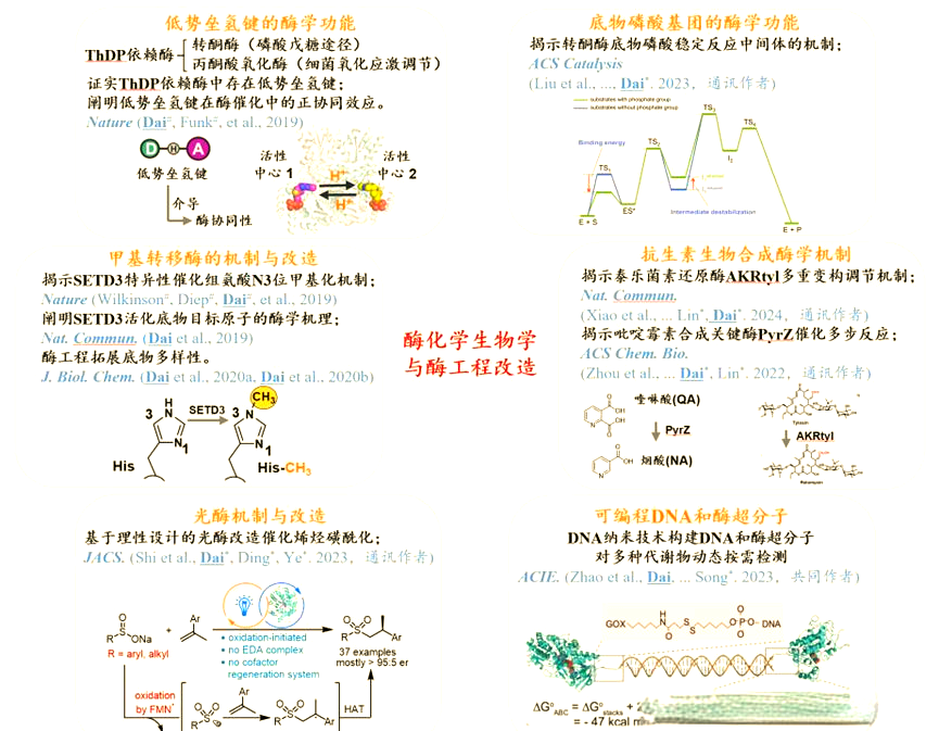 生命科学研究例子,生命科学研究例子有哪些