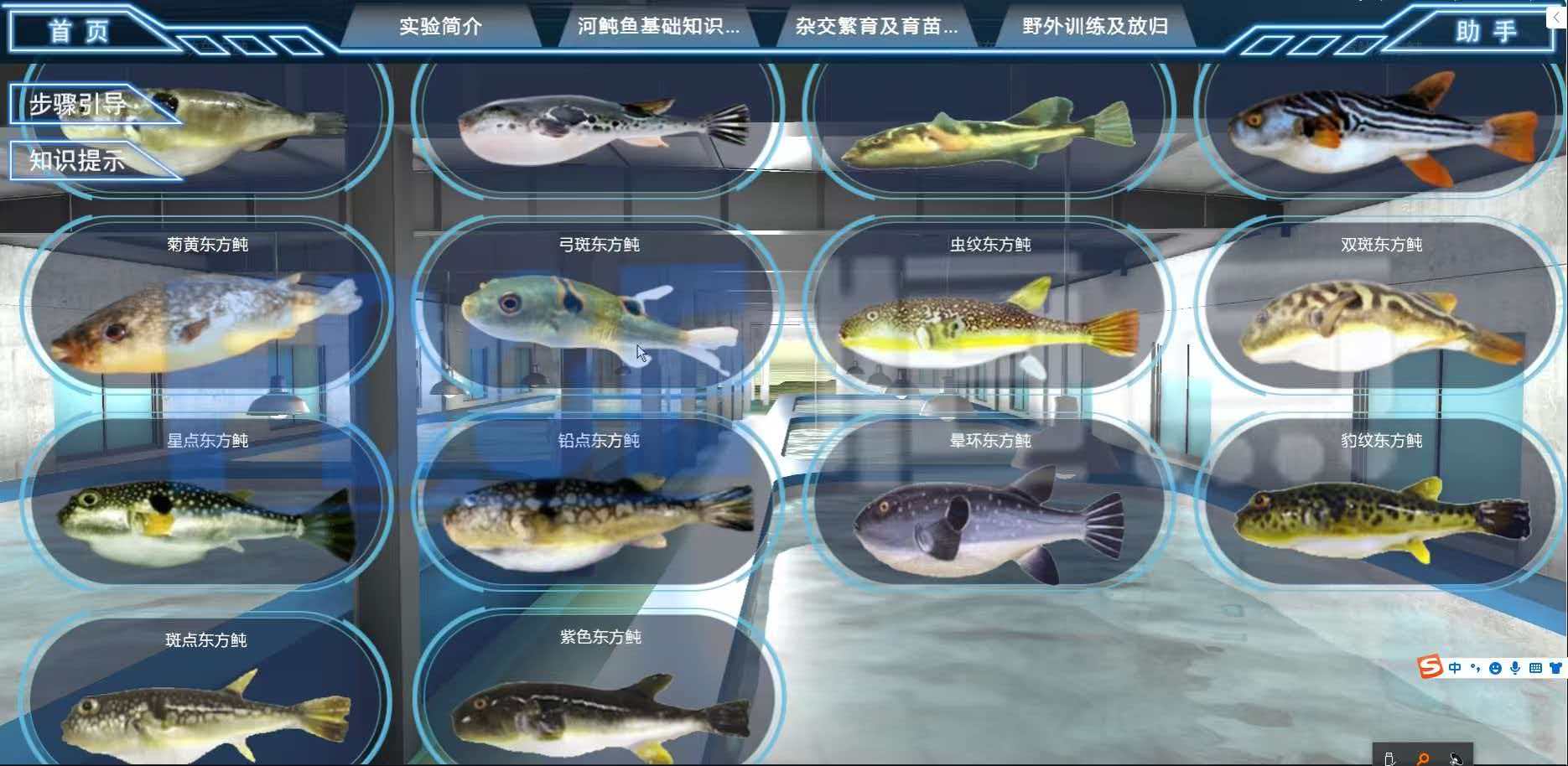 养鱼科技前沿研究报告,养鱼科技前沿研究报告怎么写 养鱼科技前沿研究报告,养鱼科技前沿研究报告怎么写