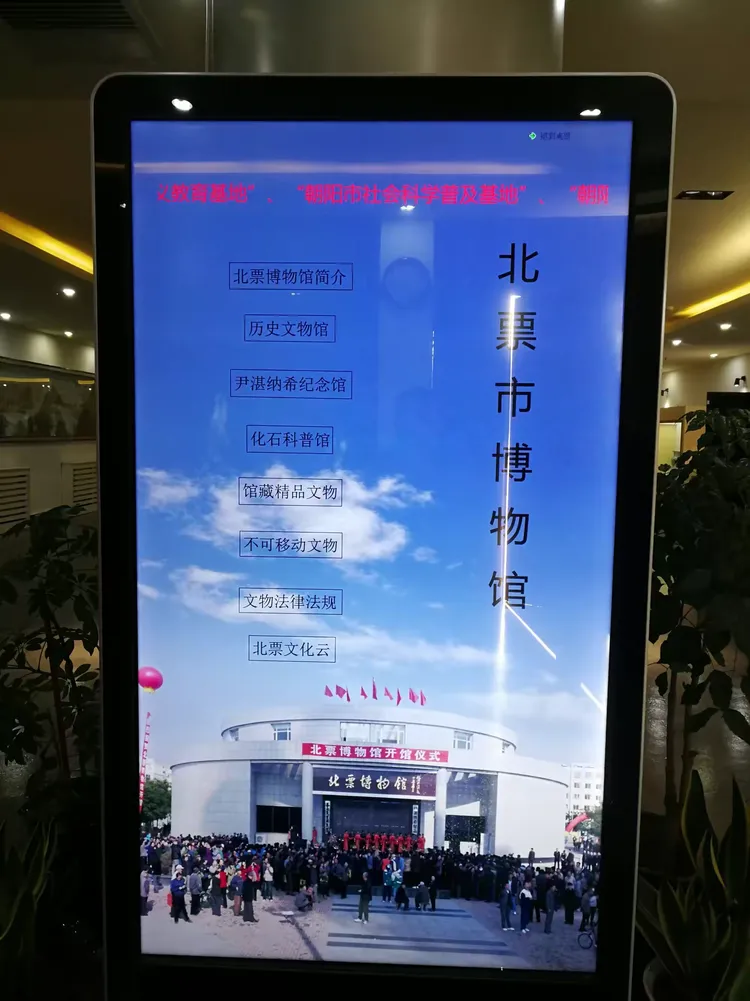 辽宁省地球科学网站,温瑞博1比3张本智和 辽宁省地球科学网站,温瑞博1比3张本智和