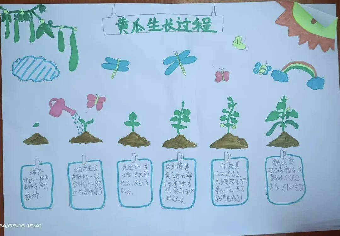 小班生命科学观察植物,中班植物观察记录20篇 小班生命科学观察植物,中班植物观察记录20篇