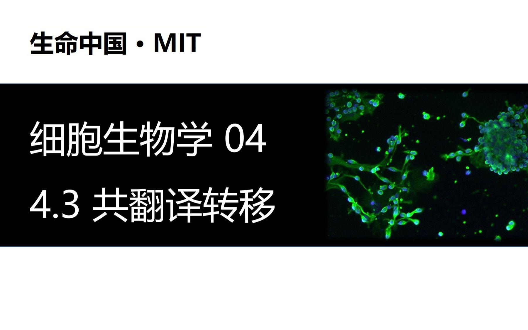 生命科学翻译排名第一,生命科学翻译排名第一的是谁 生命科学翻译排名第一,生命科学翻译排名第一的是谁