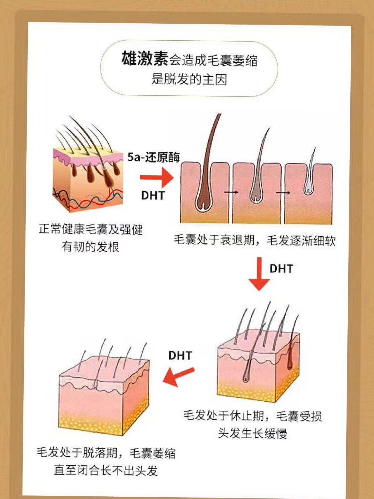 毛襄科技前沿,湖南卫视中秋之夜节目单 毛襄科技前沿,湖南卫视中秋之夜节目单
