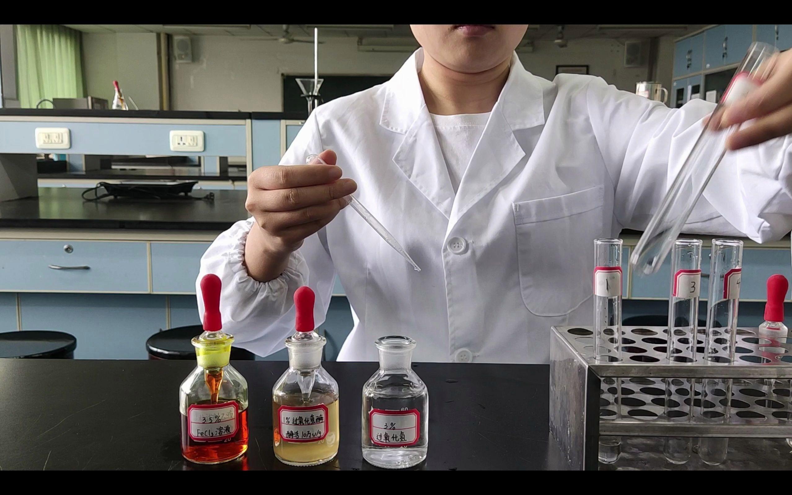 理科实验班生命科学,生命科学博士就业前景 理科实验班生命科学,生命科学博士就业前景