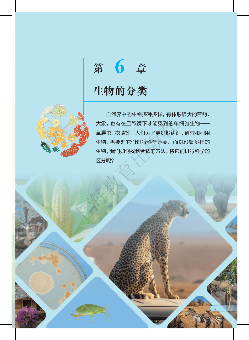 生命科学沪教版八下,沪科版八下20章电子书下载 生命科学沪教版八下,沪科版八下20章电子书下载