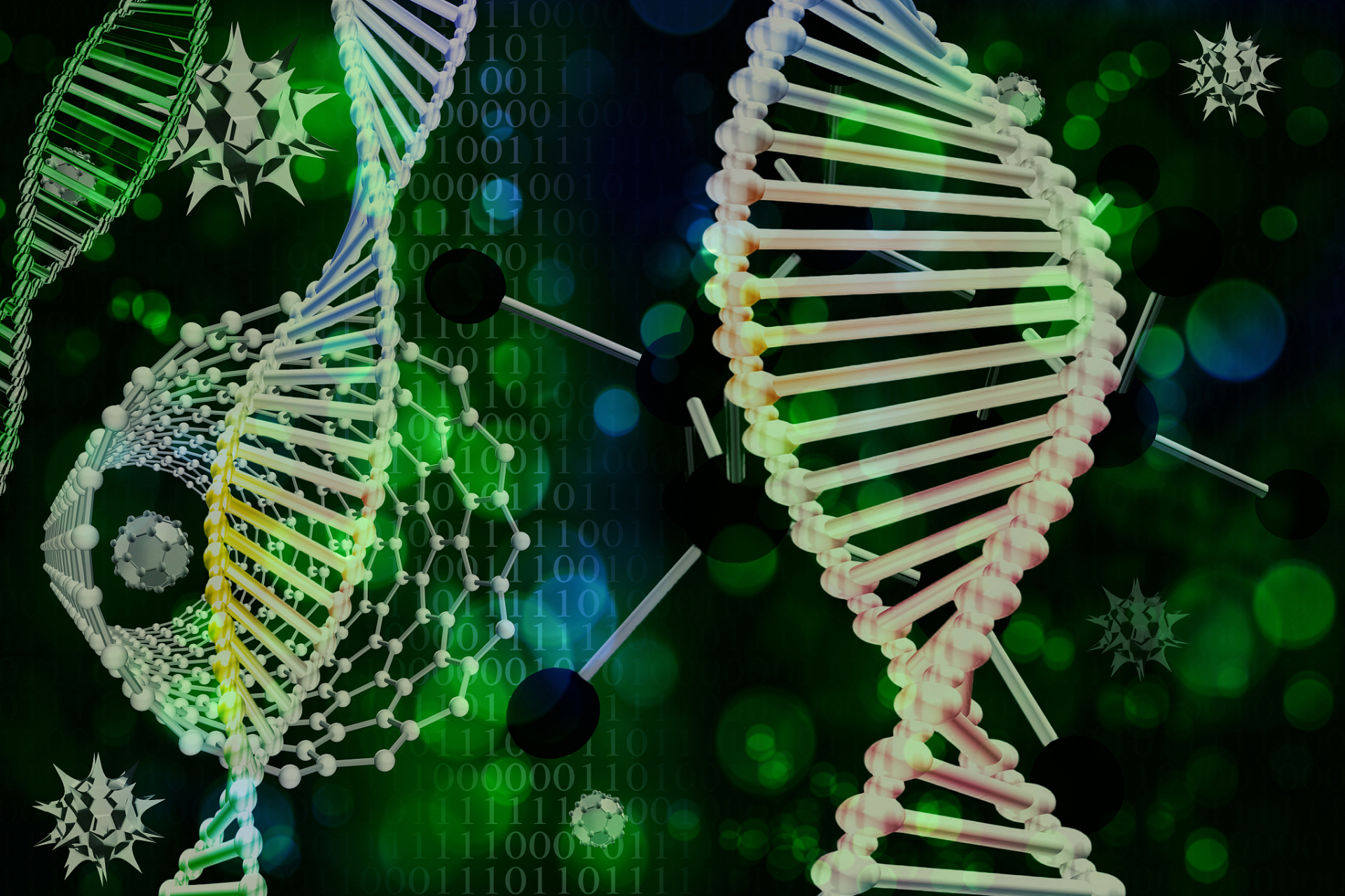 生命科学的全部图片,生命科学的全部图片高清