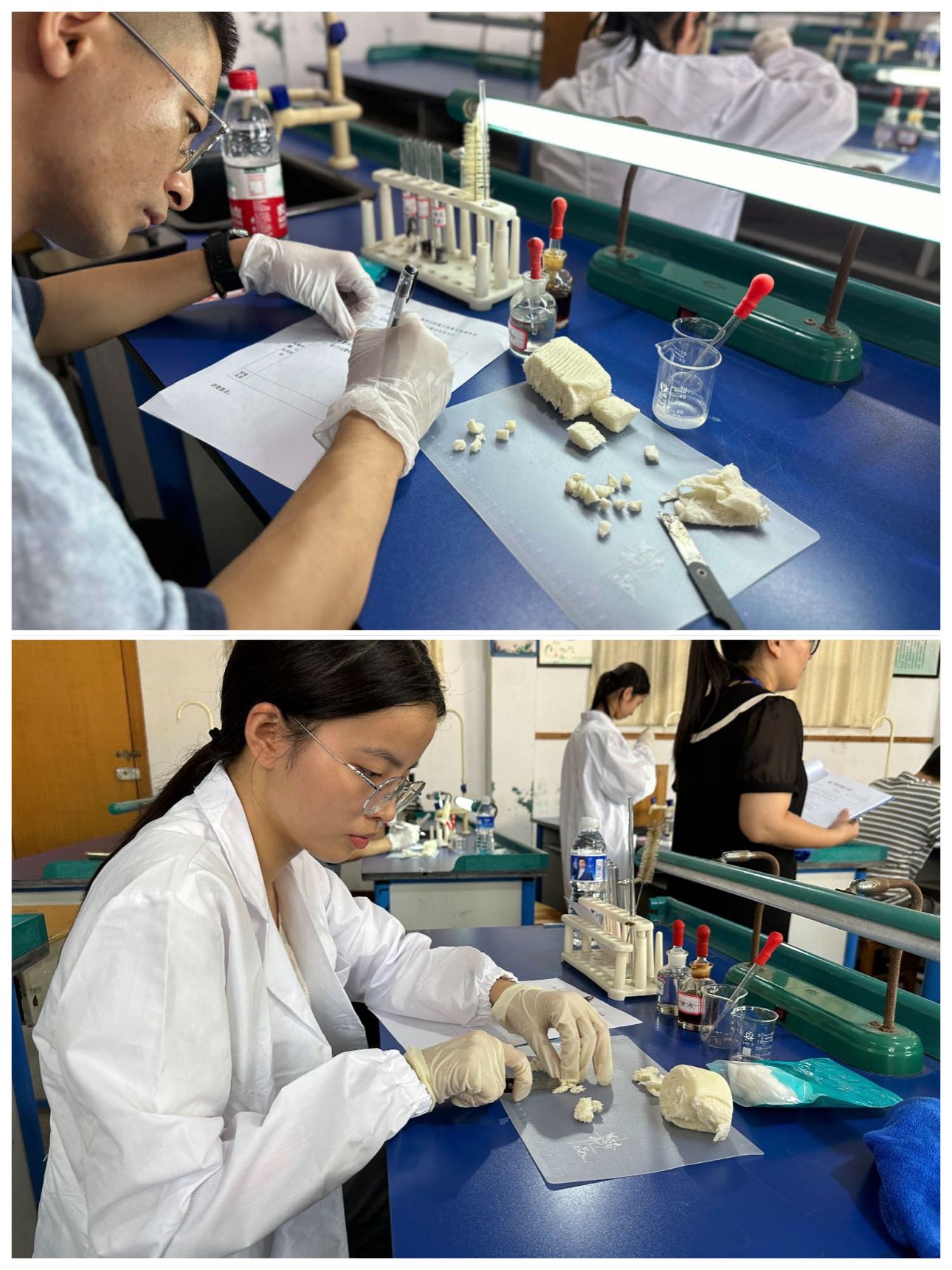 生命科学实操实验室,生命科学实操实验室设计方案 生命科学实操实验室,生命科学实操实验室设计方案