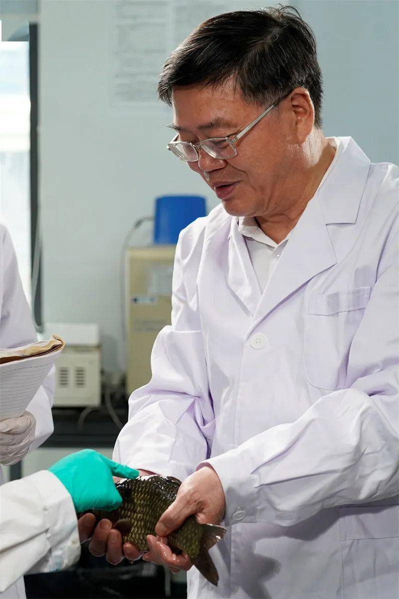 湖北大学生命科学导师,湖北大学生命科学学院副教援老师