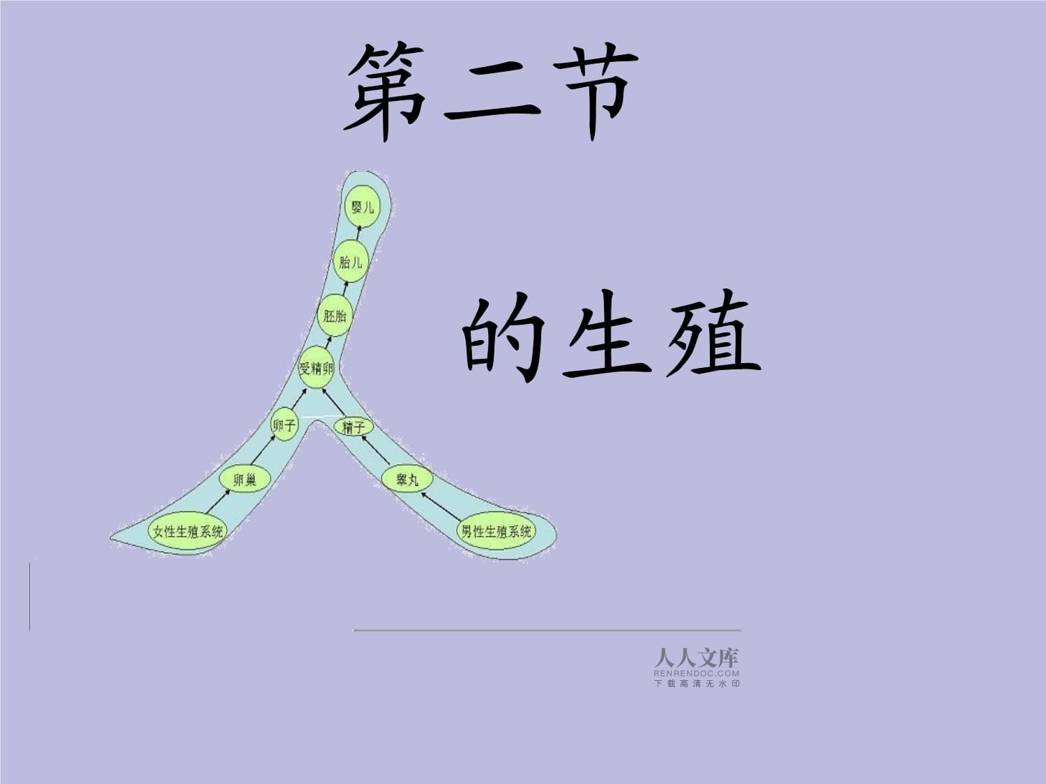 七年级生物研究生命科学ppt,七年级上册生物科学研究法的步骤