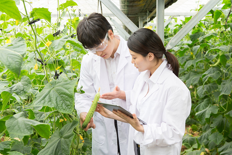 韩国生命科学就业前景,韩国生命科学就业前景怎么样