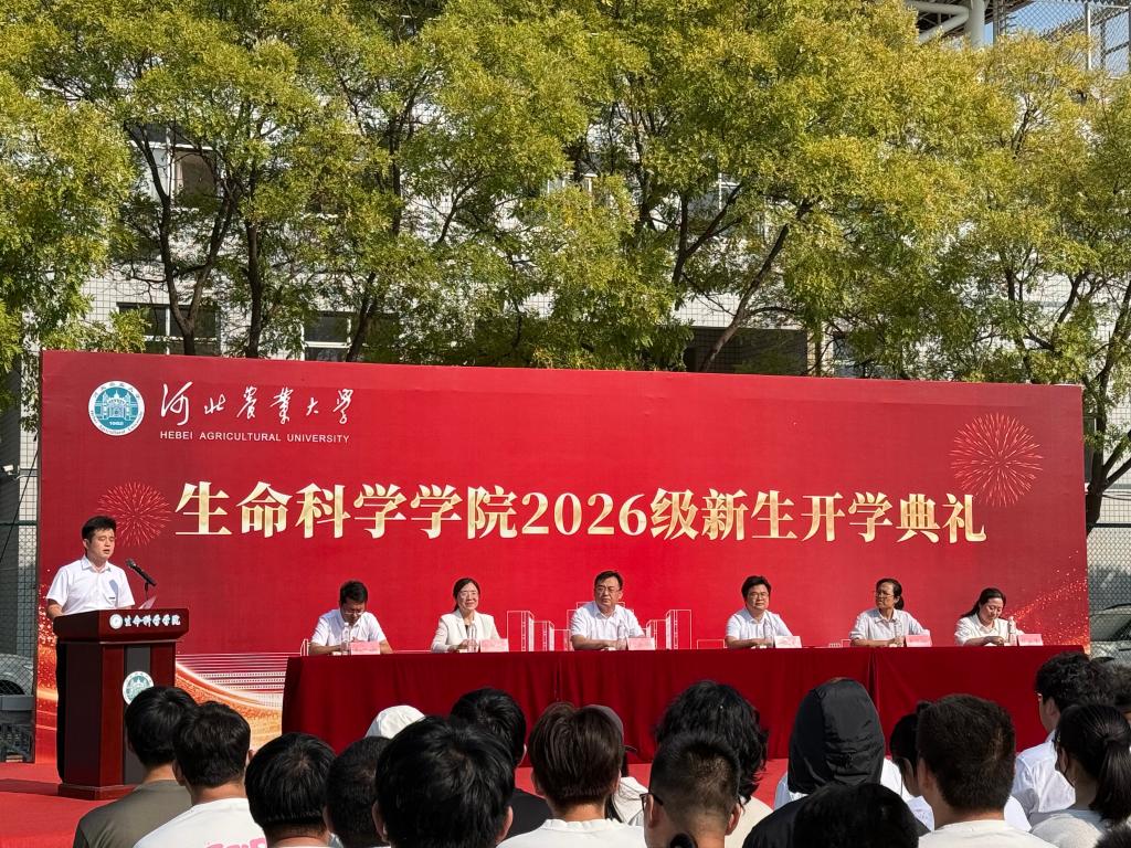 衡院生命科学学院,中规院和清华同衡哪个比较好