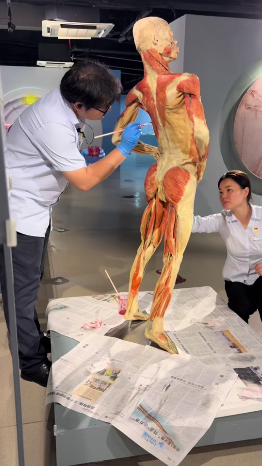 大连人体生命科学展,大连人体博物馆在哪里 大连人体生命科学展,大连人体博物馆在哪里