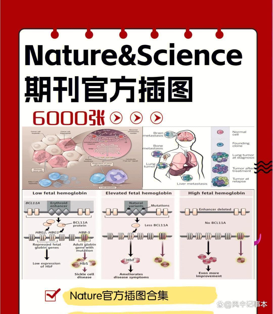 现在生命科学进展,现在生命科学进展情况 现在生命科学进展,现在生命科学进展情况