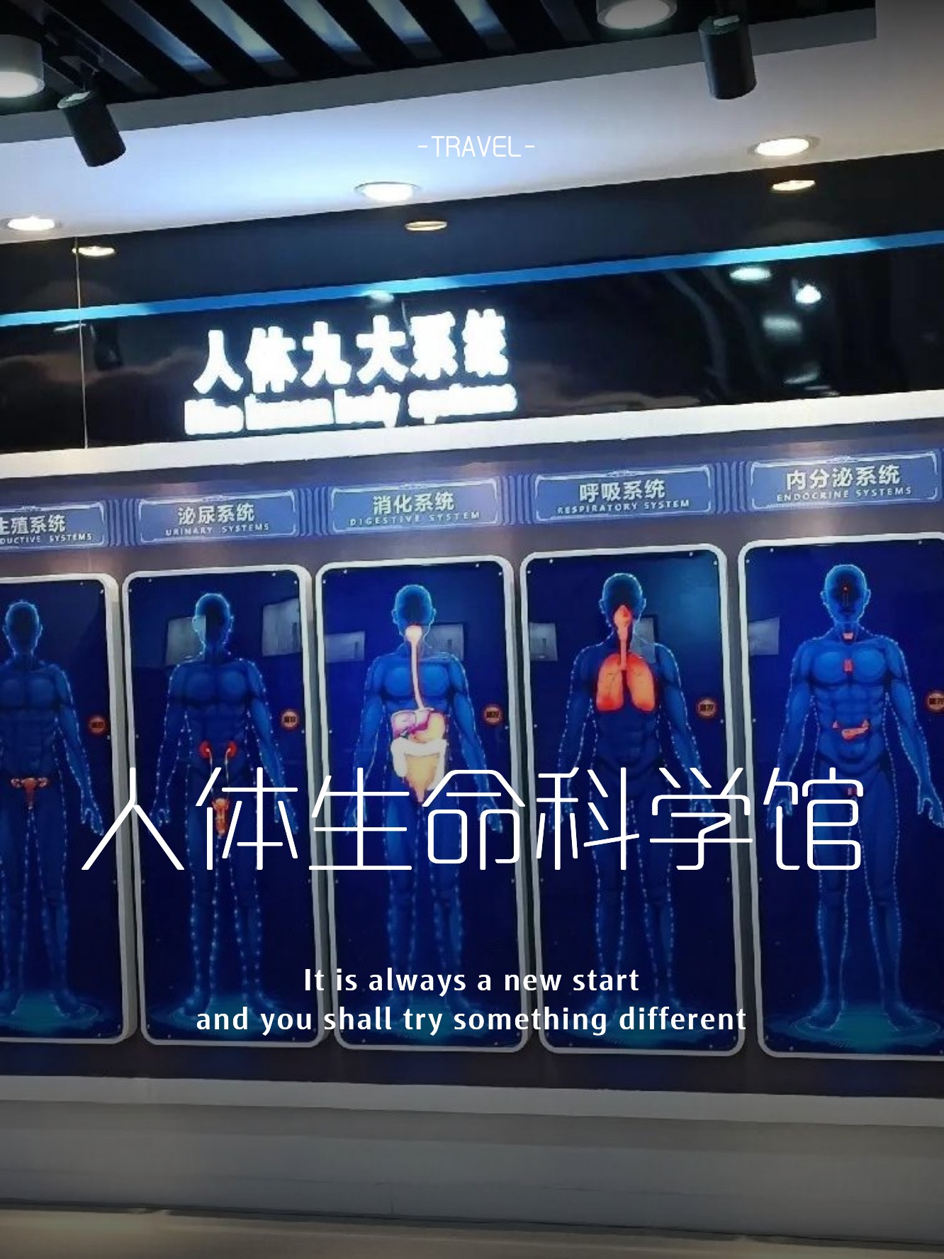 生命科学馆解决方案,生命科学馆解决方案ppt 生命科学馆解决方案,生命科学馆解决方案ppt