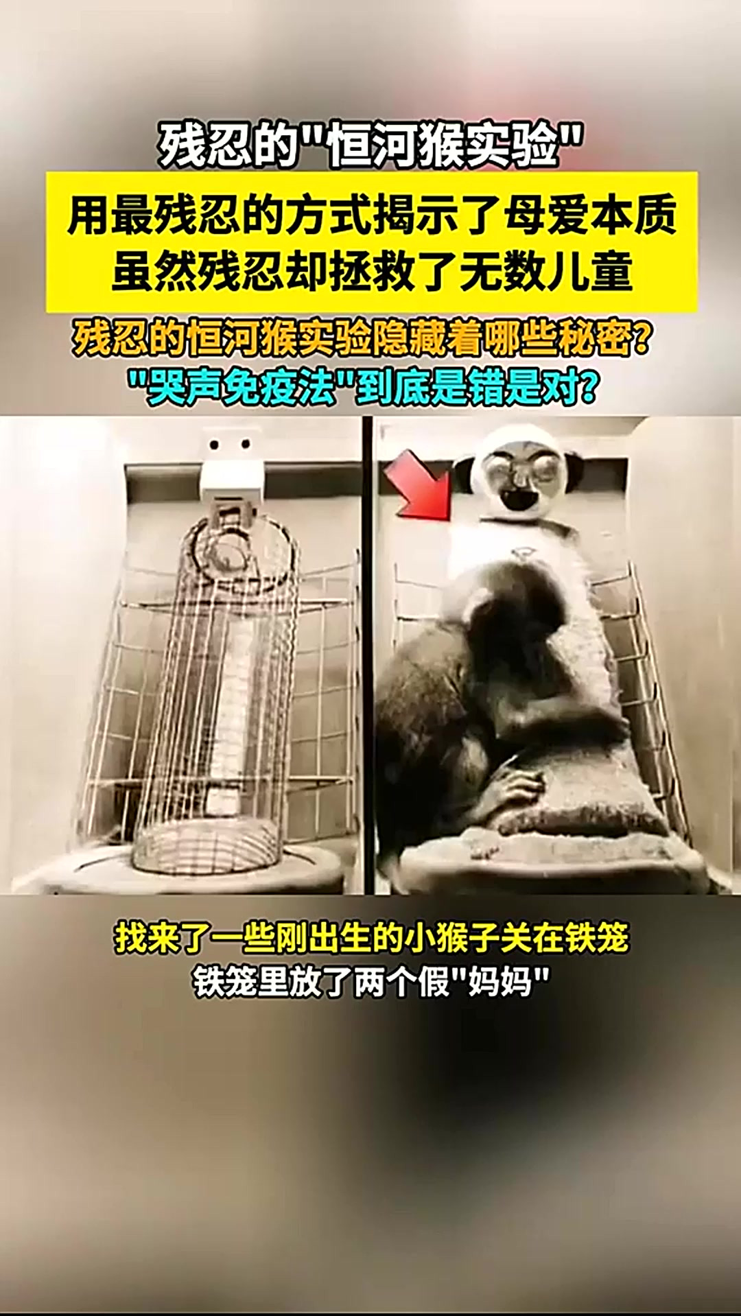 震惊世界的物理实验,10大颠覆认知的物理实验 震惊世界的物理实验,10大颠覆认知的物理实验