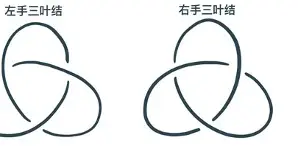 纽结理论科技前沿性,世界科技前沿与中国机遇专题 教授