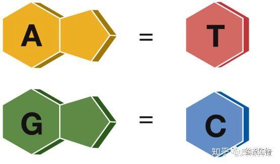 赫尔生命科学,赫尔大学生物医学辅导 赫尔生命科学,赫尔大学生物医学辅导