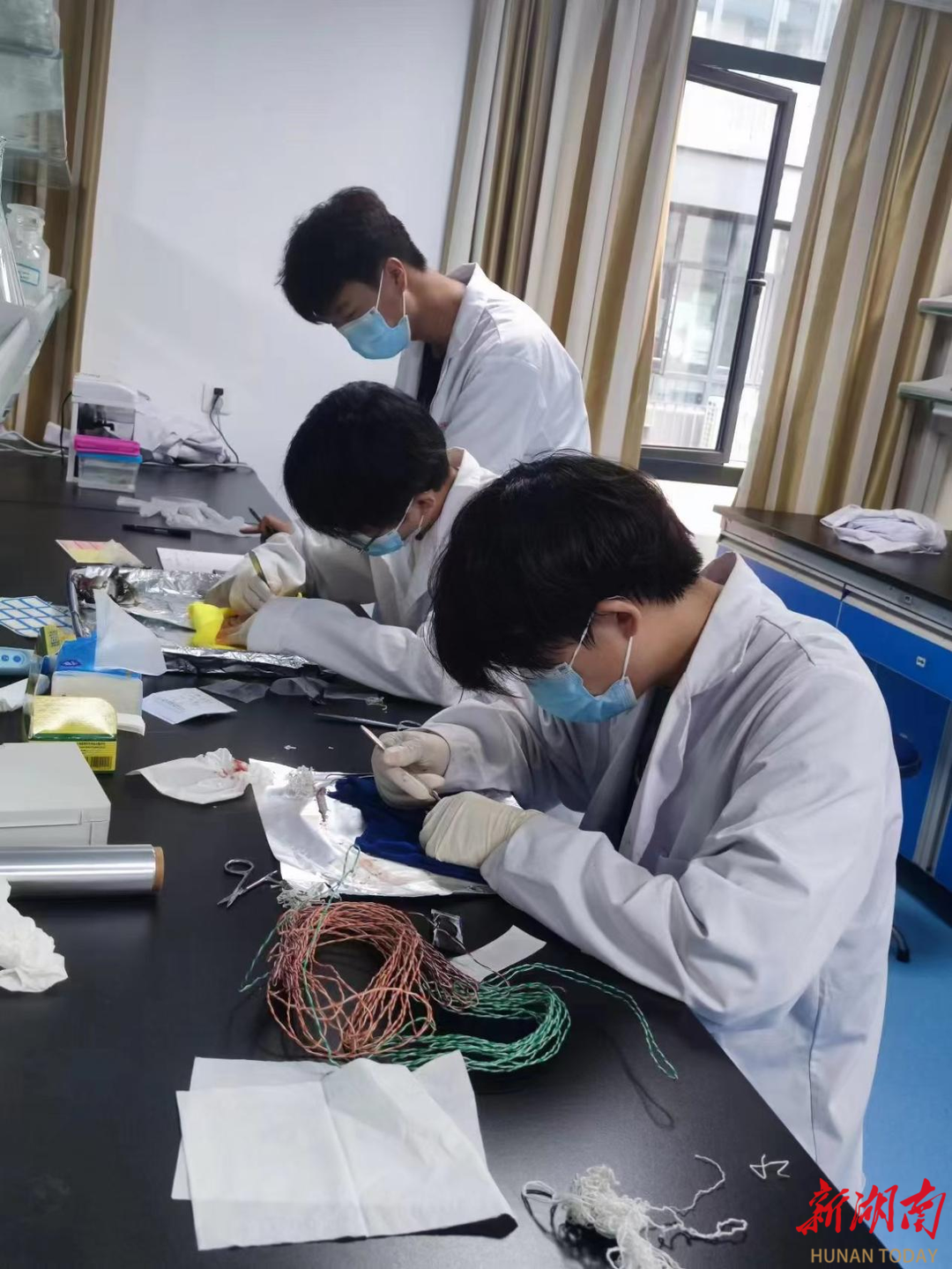 生命科学研究生找工作,生命科学研究生找工作容易吗 生命科学研究生找工作,生命科学研究生找工作容易吗