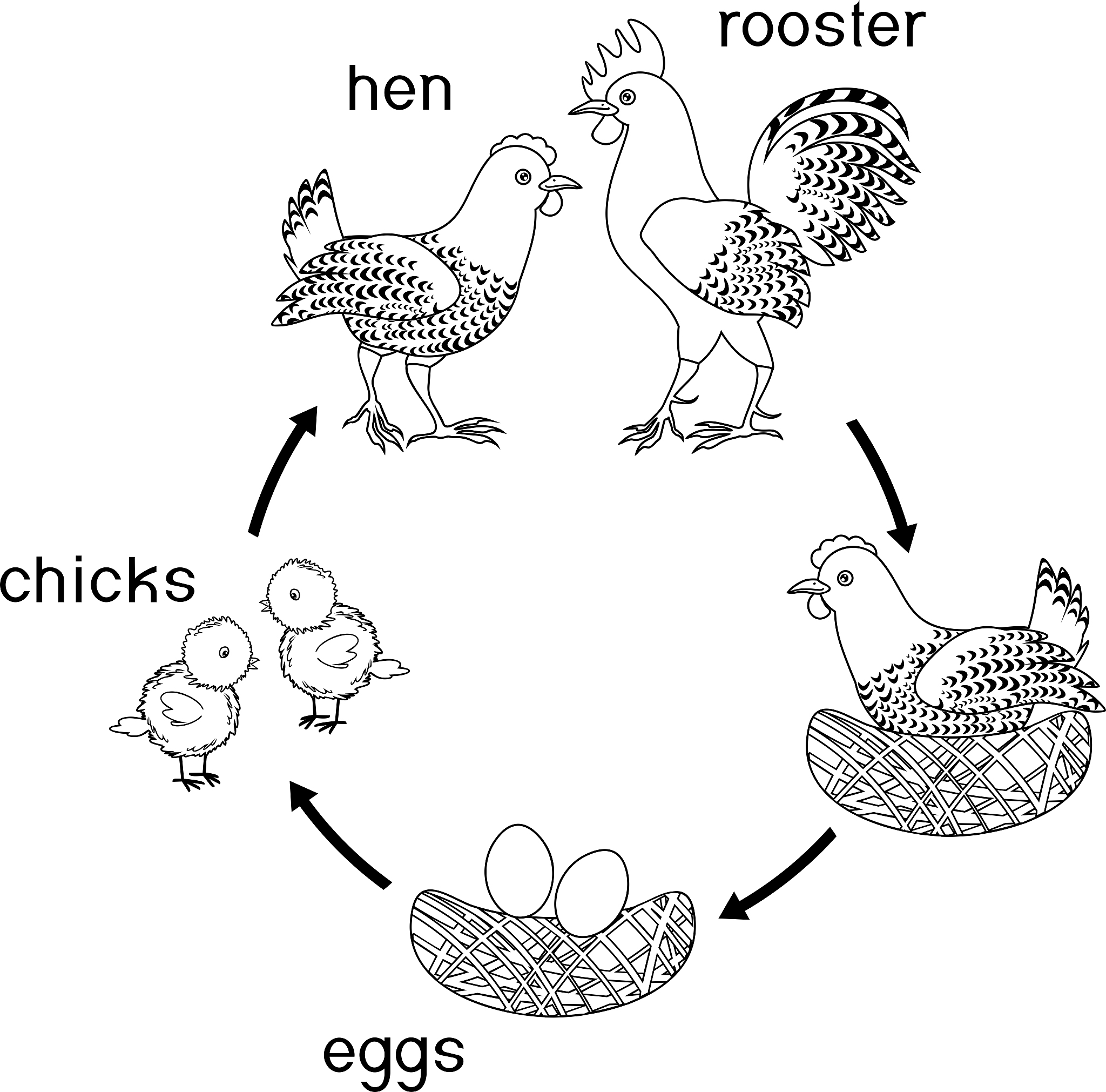 有关生命科学的手绘图,有关生命科学的手绘图怎么画 有关生命科学的手绘图,有关生命科学的手绘图怎么画