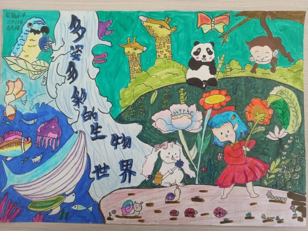 有关生命科学的手绘图,有关生命科学的手绘图怎么画 有关生命科学的手绘图,有关生命科学的手绘图怎么画