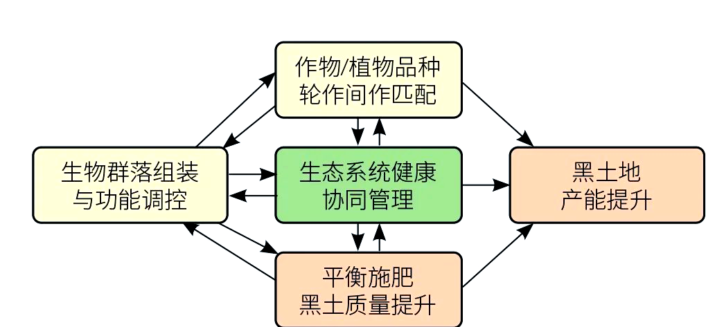现代生命科学的作用,现代生命科学的作用有哪些
