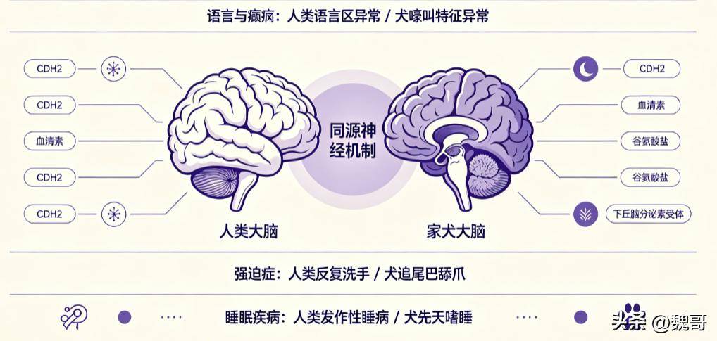 生命科学层面,生命科学界普遍认同科学数据共享