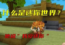 迷你世界什么是物理性,迷你世界什么是物理性质 迷你世界什么是物理性,迷你世界什么是物理性质