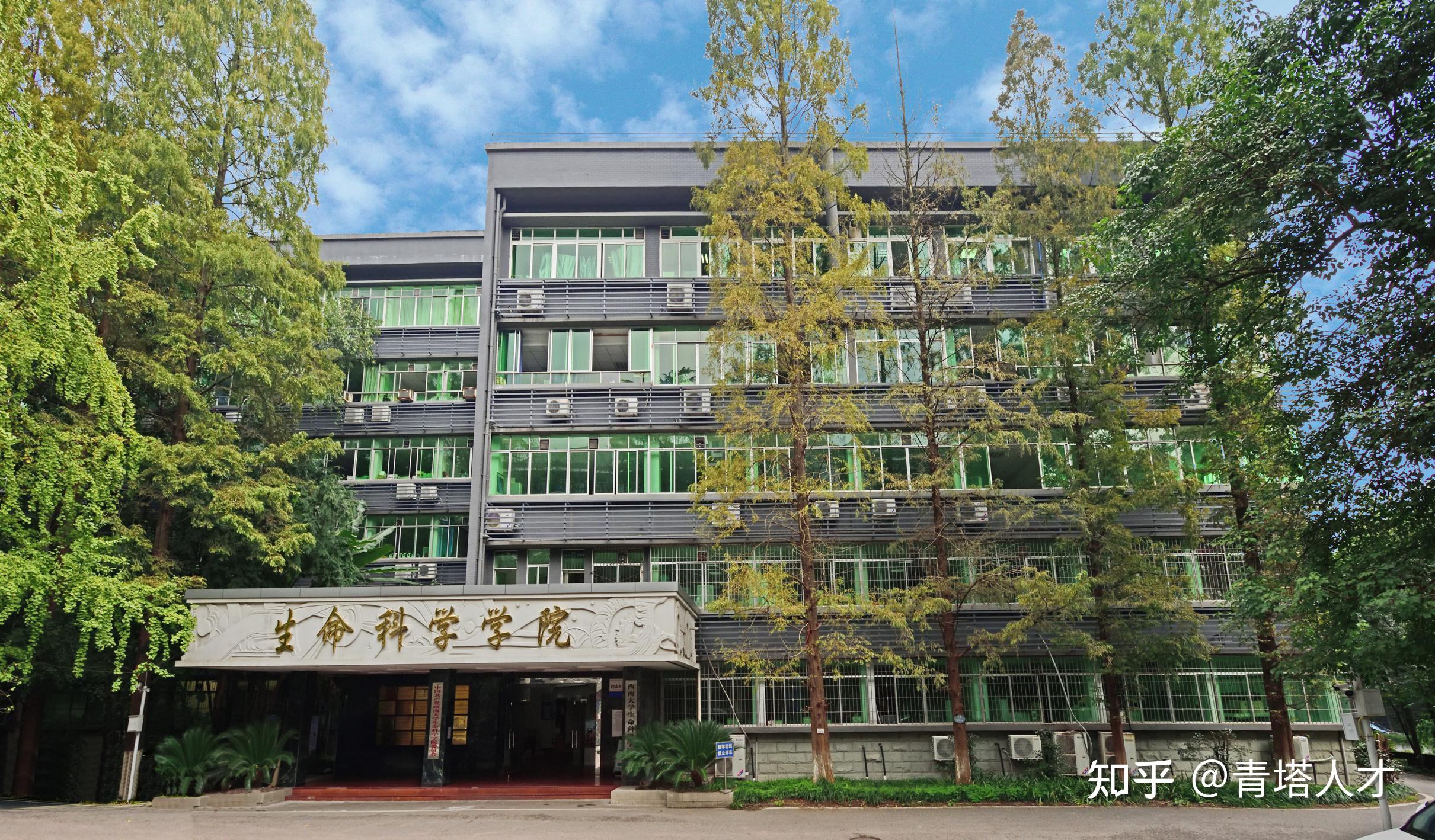 华西生命科学学院,华西成都生命健康科学产业园 华西生命科学学院,华西成都生命健康科学产业园