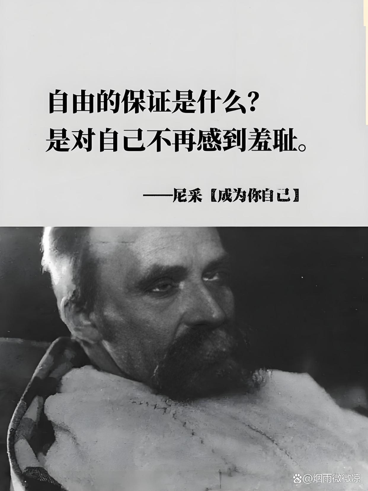 尼采生命科学,尼采对生命的看法