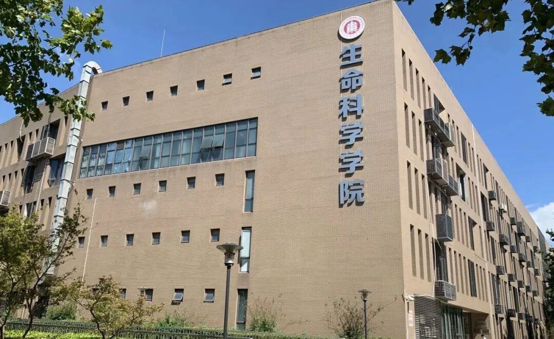 生命科学系招生,生命科学系大学排名 生命科学系招生,生命科学系大学排名