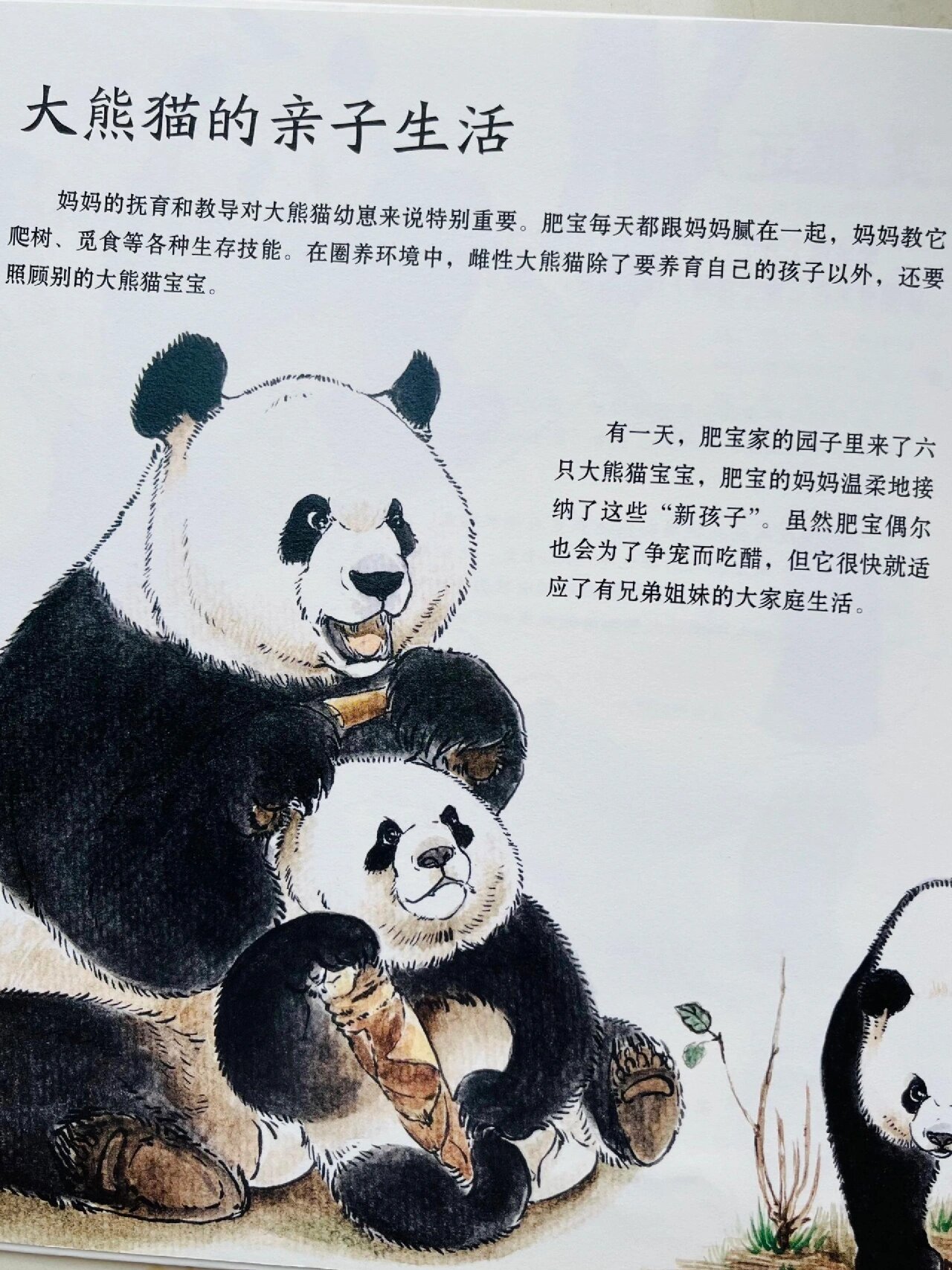 朱天文科普类绘本,科普图画书是绘本吗 朱天文科普类绘本,科普图画书是绘本吗