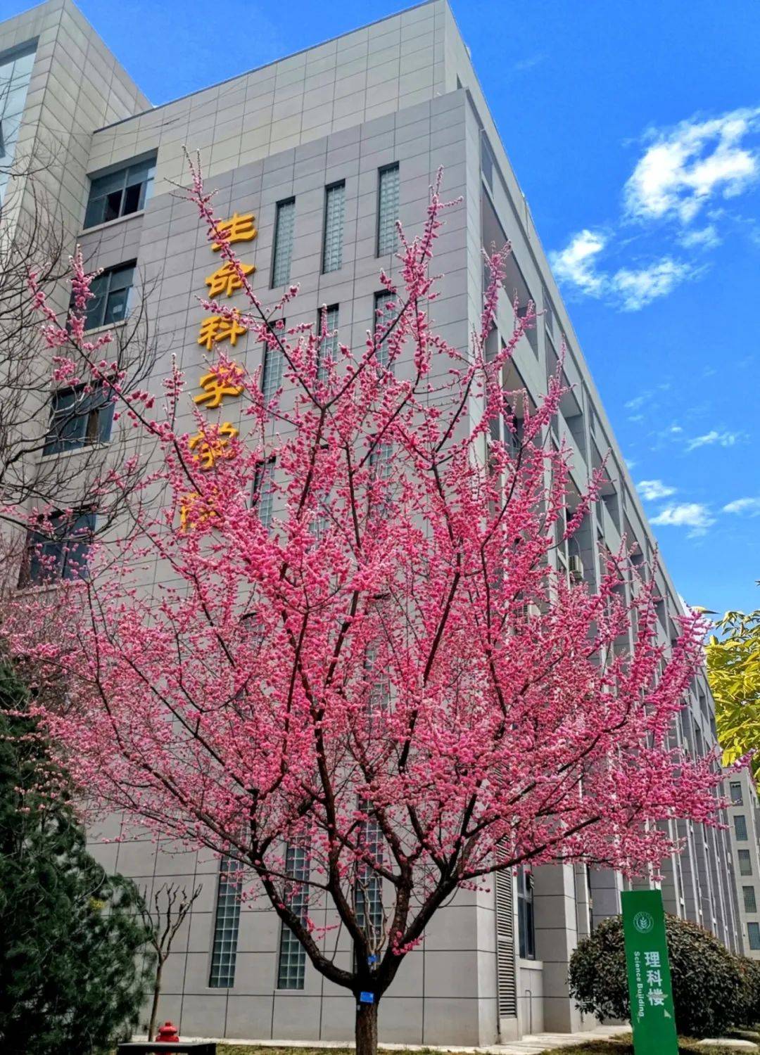 内民大生命科学学院,内大生命科学学院在哪个校区