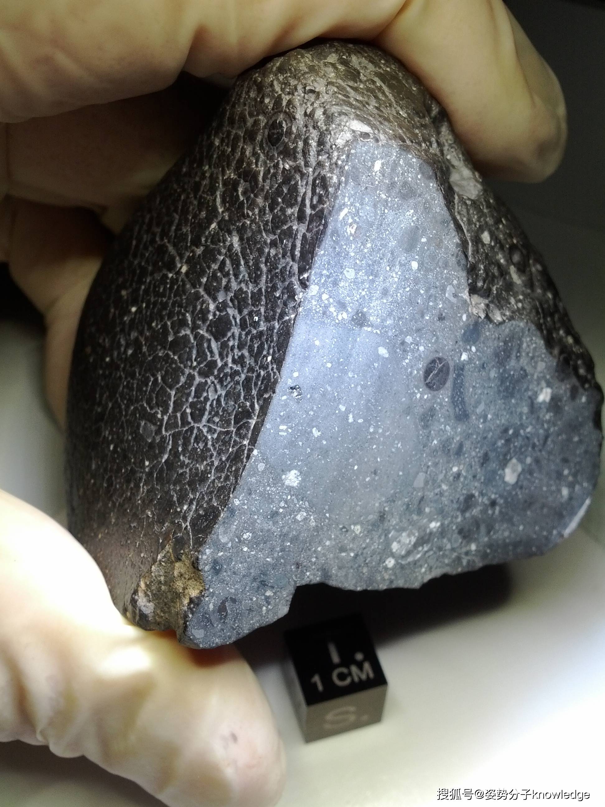 地球科学家新证据,地球科学家衣服怎么样 地球科学家新证据,地球科学家衣服怎么样