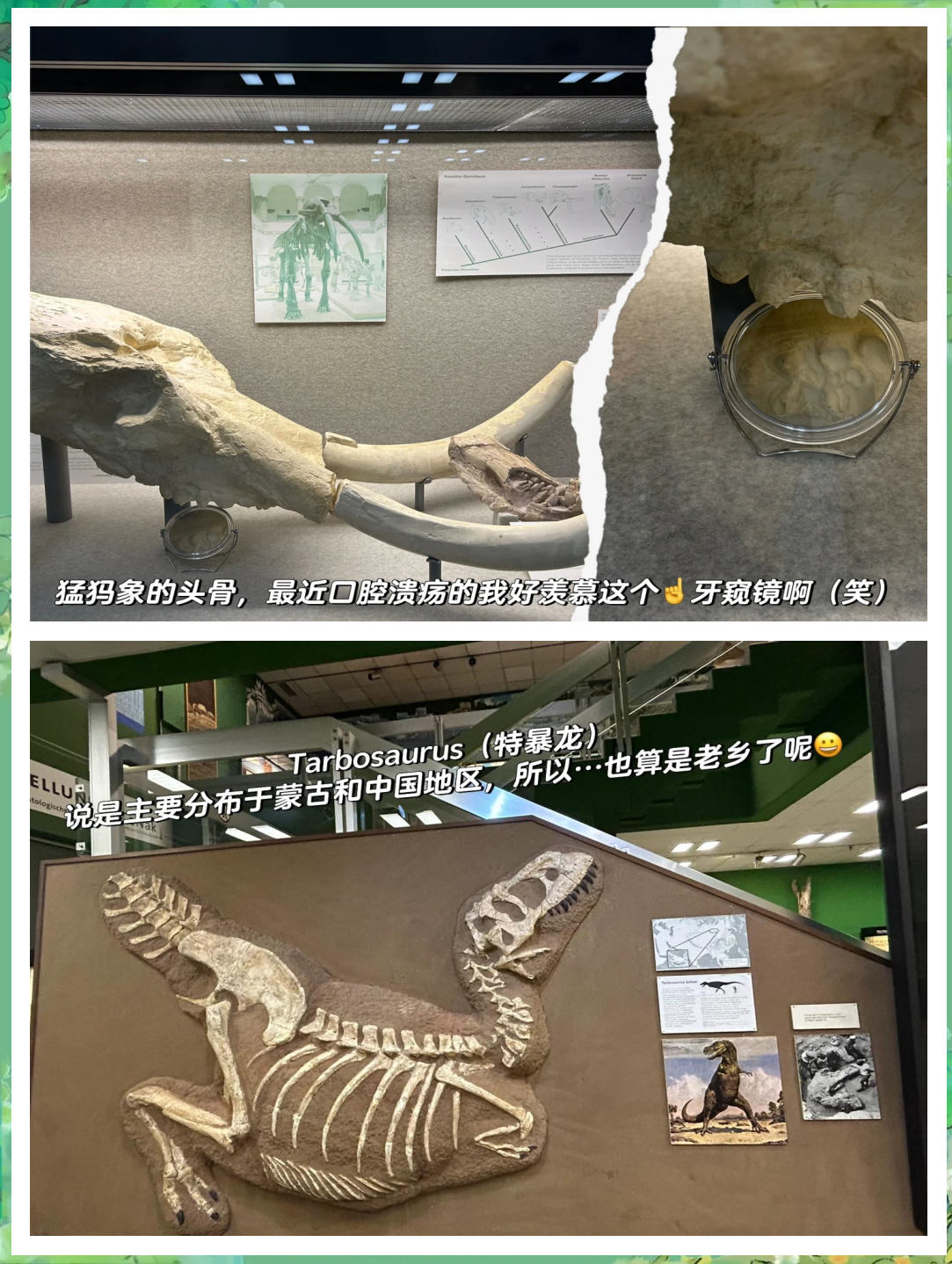生命科学馆预约门票,生命科学馆有哪些好玩的 生命科学馆预约门票,生命科学馆有哪些好玩的
