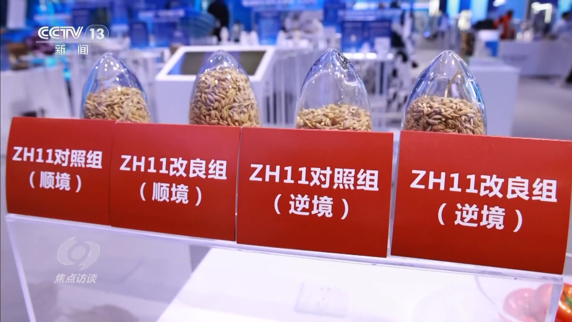 2020科技前沿项目,2020年国家重大科研仪器项目 2020科技前沿项目,2020年国家重大科研仪器项目