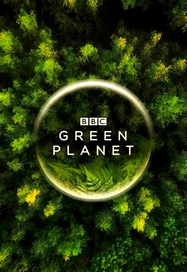 地球科学的影视作品,地球科学的奥秘帮忙出征出张海报 地球科学的影视作品,地球科学的奥秘帮忙出征出张海报