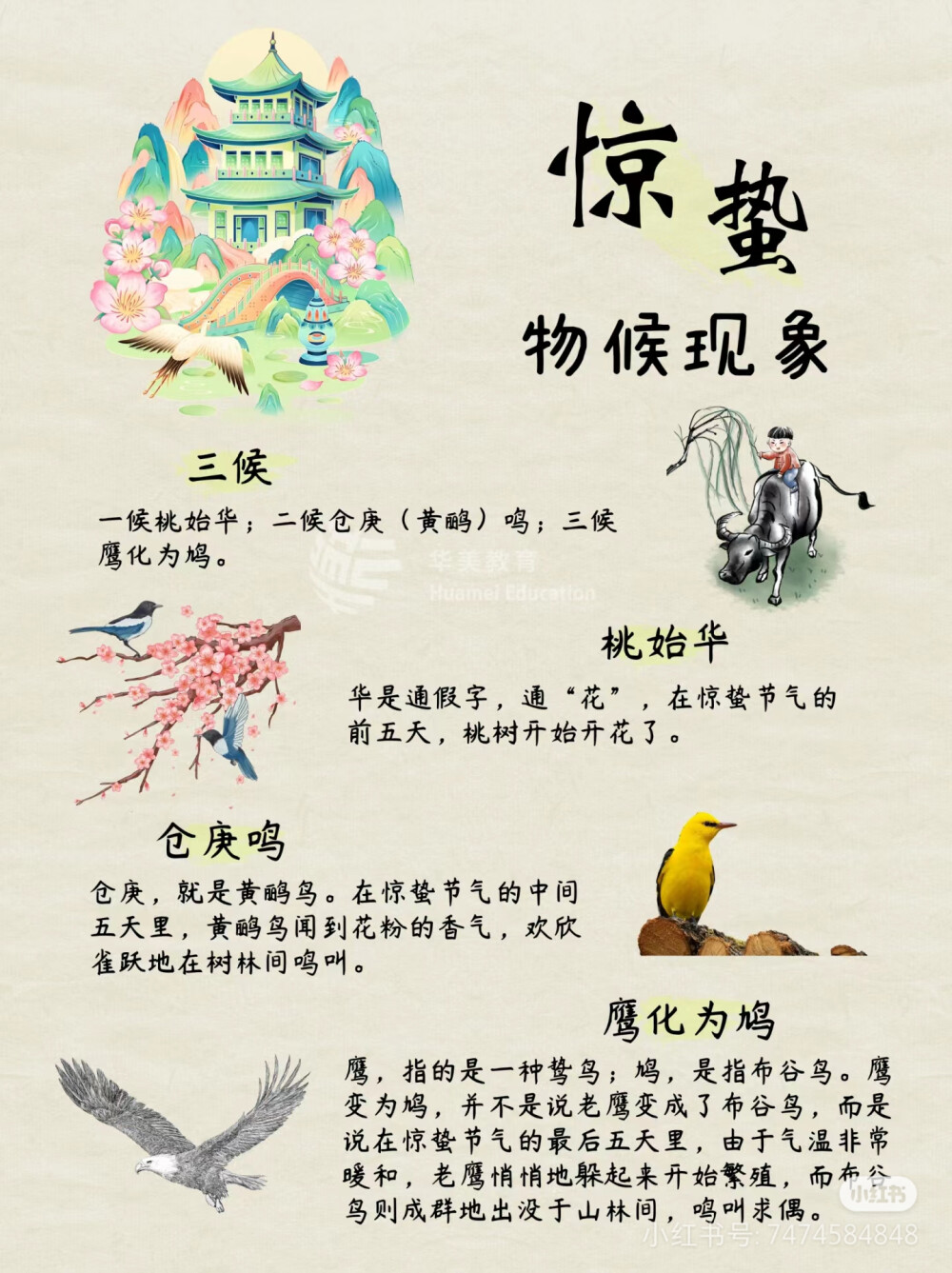 惊蛰天文科普海报,惊蛰无声海报高清大图 惊蛰天文科普海报,惊蛰无声海报高清大图