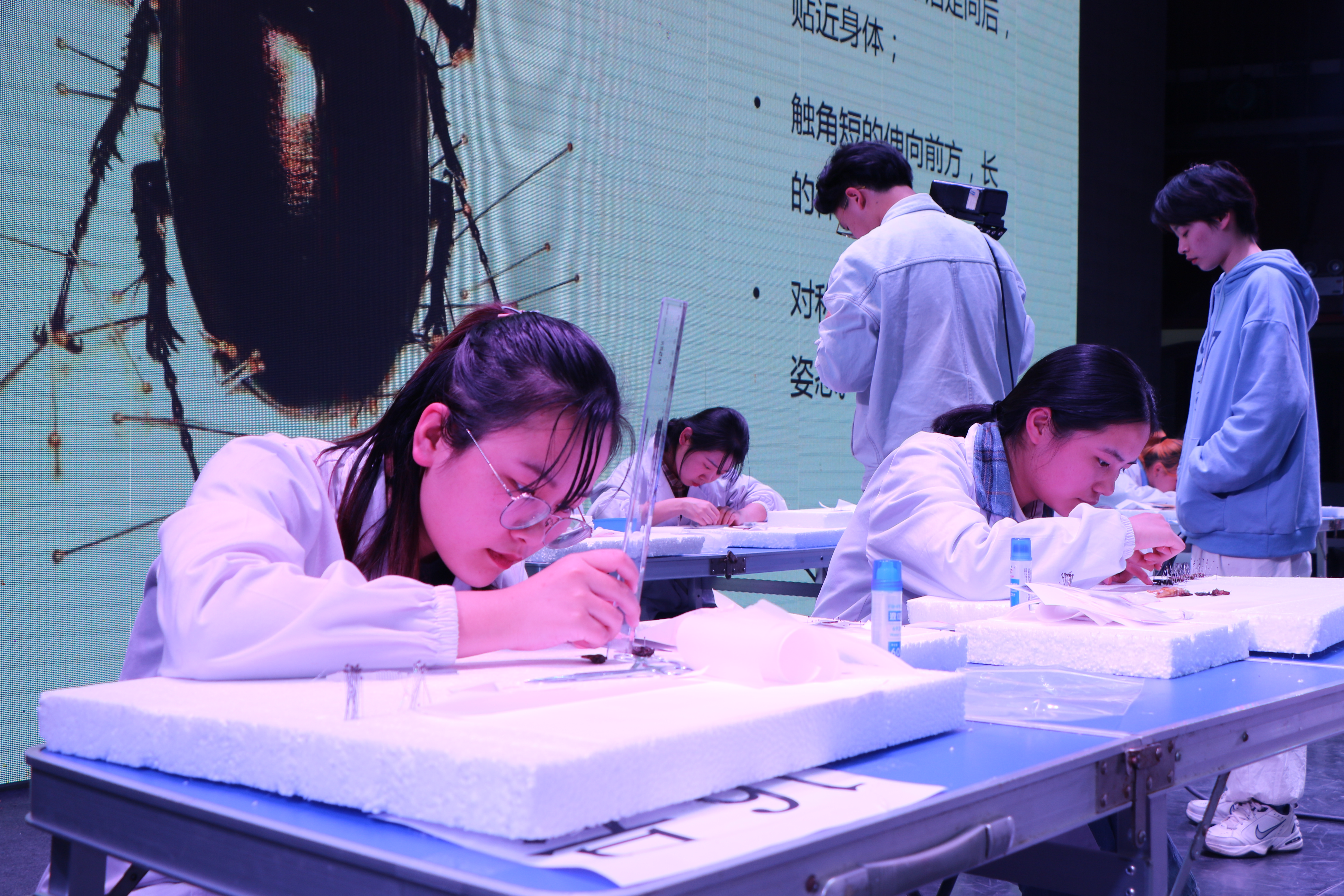 生命科学系毕业设计,生命科学系毕业设计论文 生命科学系毕业设计,生命科学系毕业设计论文