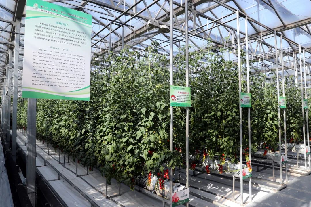 植物科技前沿视频讲解,植物科技前沿视频讲解下载 植物科技前沿视频讲解,植物科技前沿视频讲解下载