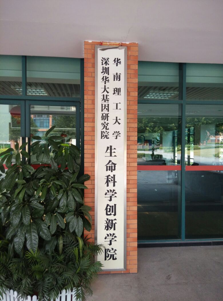 深圳生命科学院一分院,深圳大学生命科学院最厉害三个专业 深圳生命科学院一分院,深圳大学生命科学院最厉害三个专业