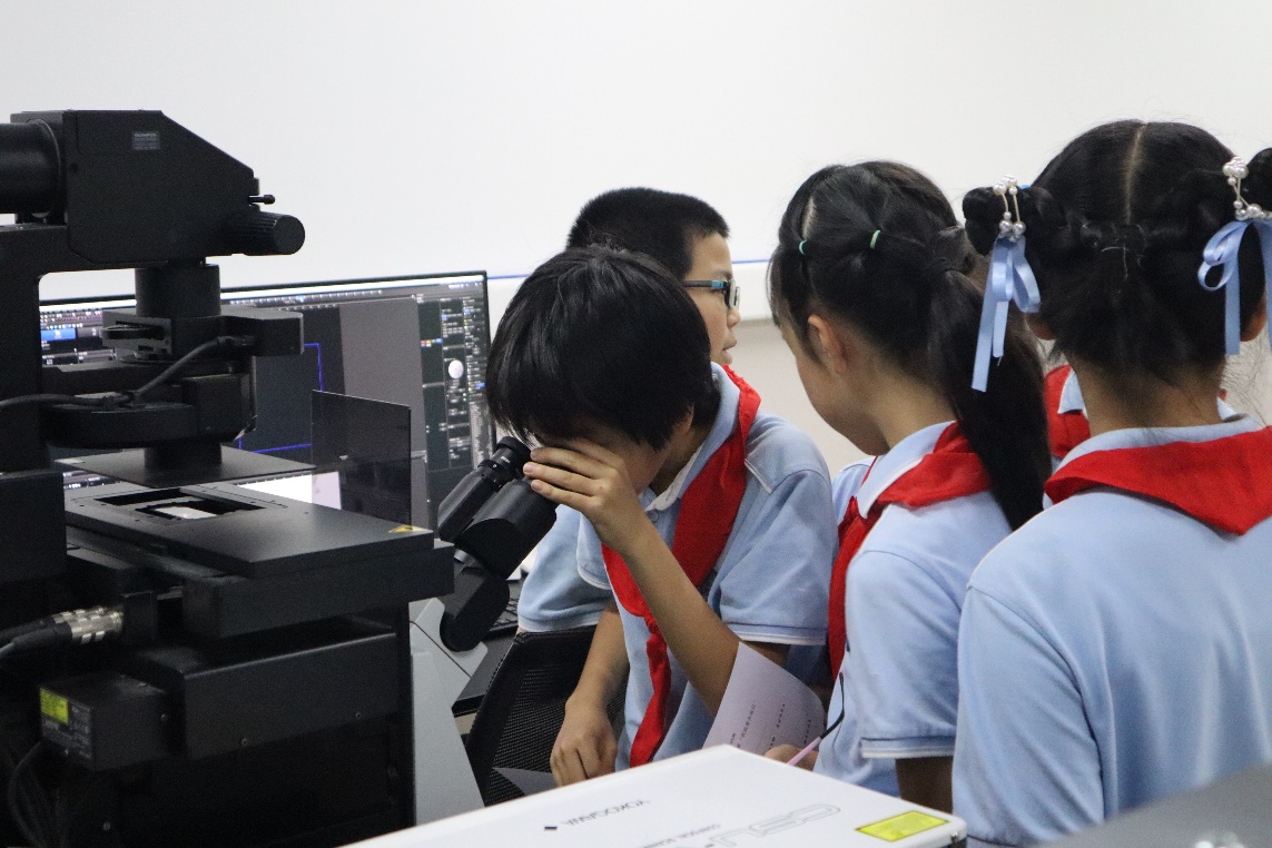 科技活动生命科学记录,科技活动生命科学记录怎么写