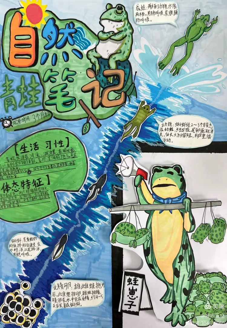 生命科学之美的笔记,生命科学的历程 pdf 生命科学之美的笔记,生命科学的历程 pdf