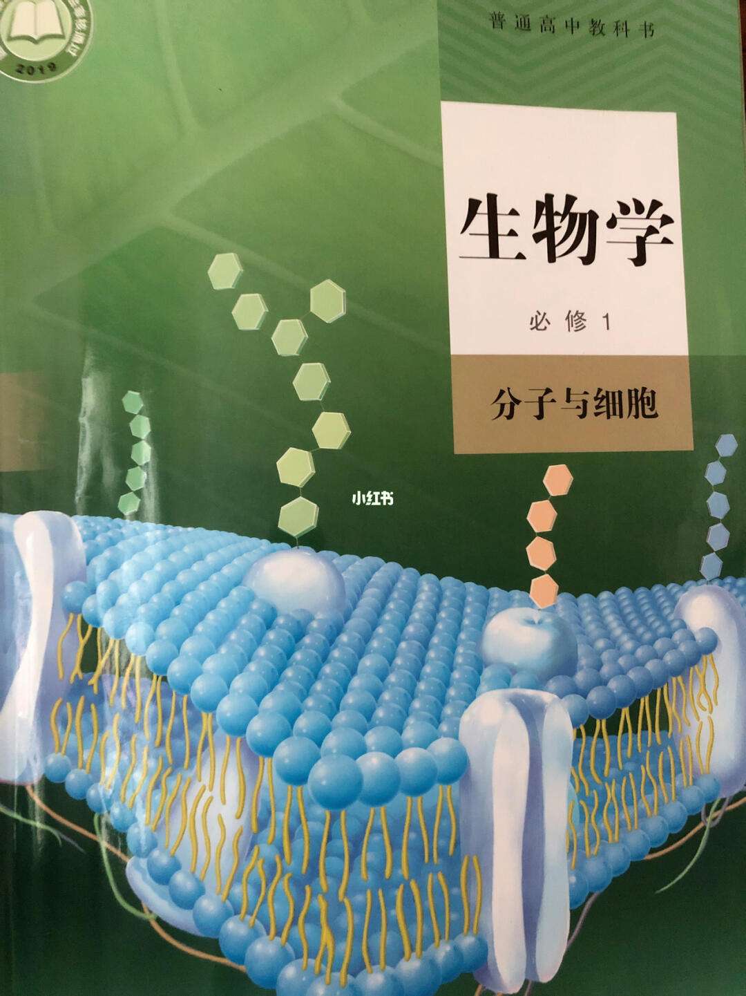 生命科学啊,生命科学直播间