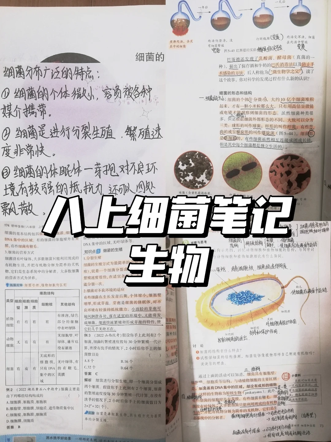 生命科学八上笔记上海,生命科学八上笔记上海出版 生命科学八上笔记上海,生命科学八上笔记上海出版
