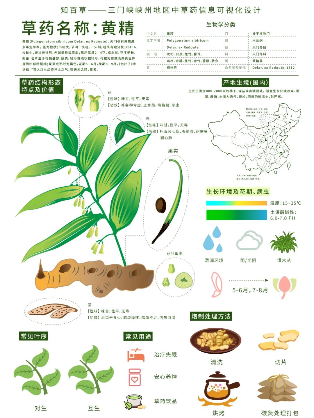 生命科学展板植物,生命科学植物生物学实验