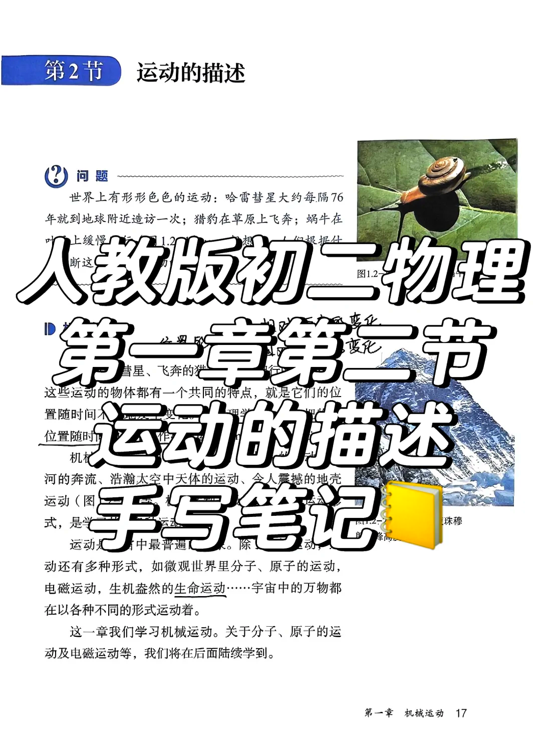 物理世界的秘密读后感,奇妙的物理读后感作文600字
