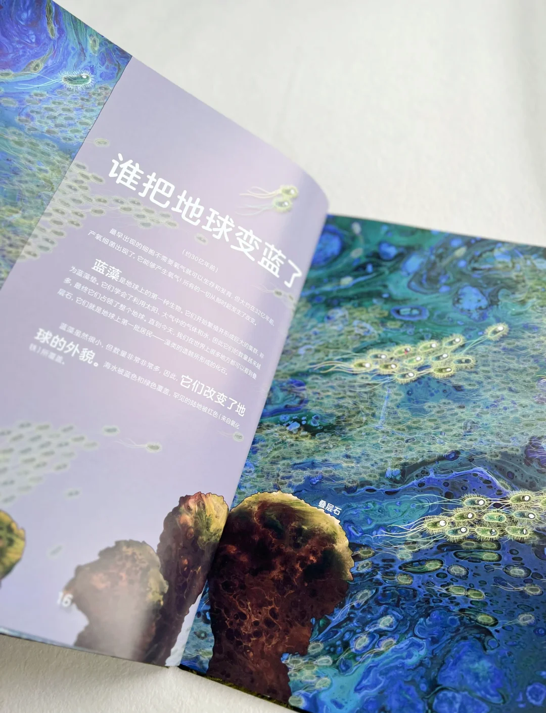 给孩子的地球科学课书,科学课地球对地表的作用 给孩子的地球科学课书,科学课地球对地表的作用