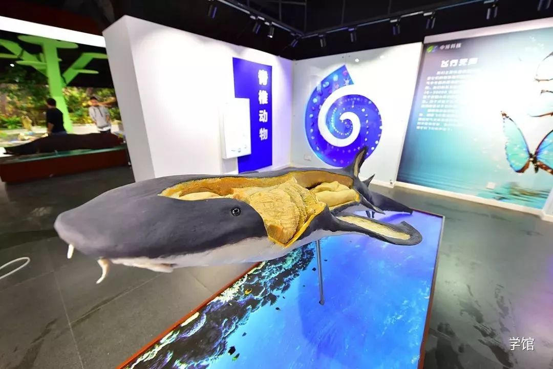 北京生命科学园门票,北京生命科学园门票价格 北京生命科学园门票,北京生命科学园门票价格