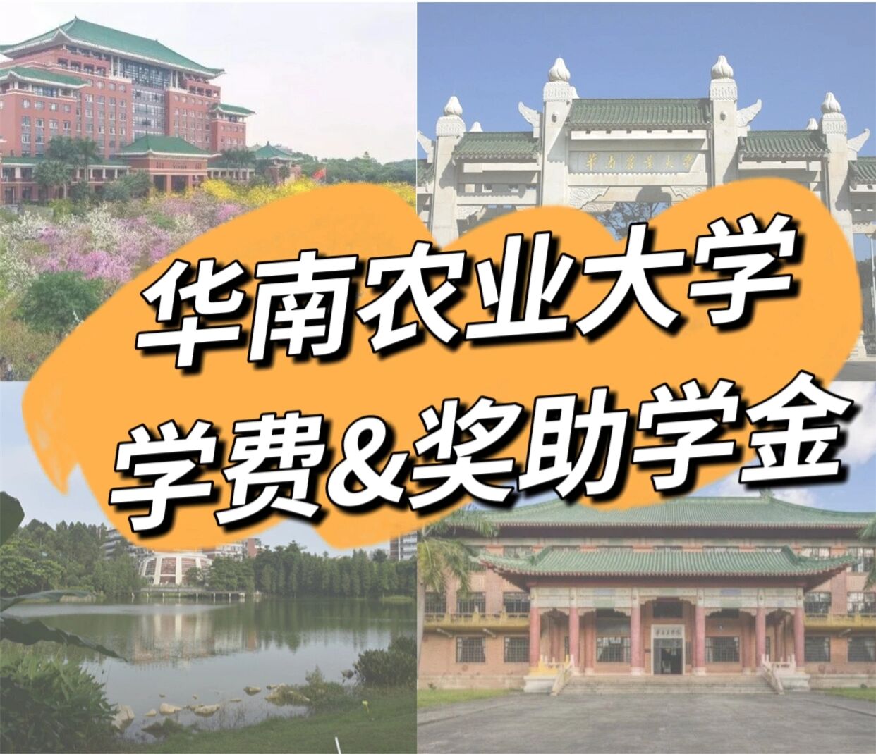 华农生命科学专业学费,华农生命科学院最厉害三个专业 华农生命科学专业学费,华农生命科学院最厉害三个专业