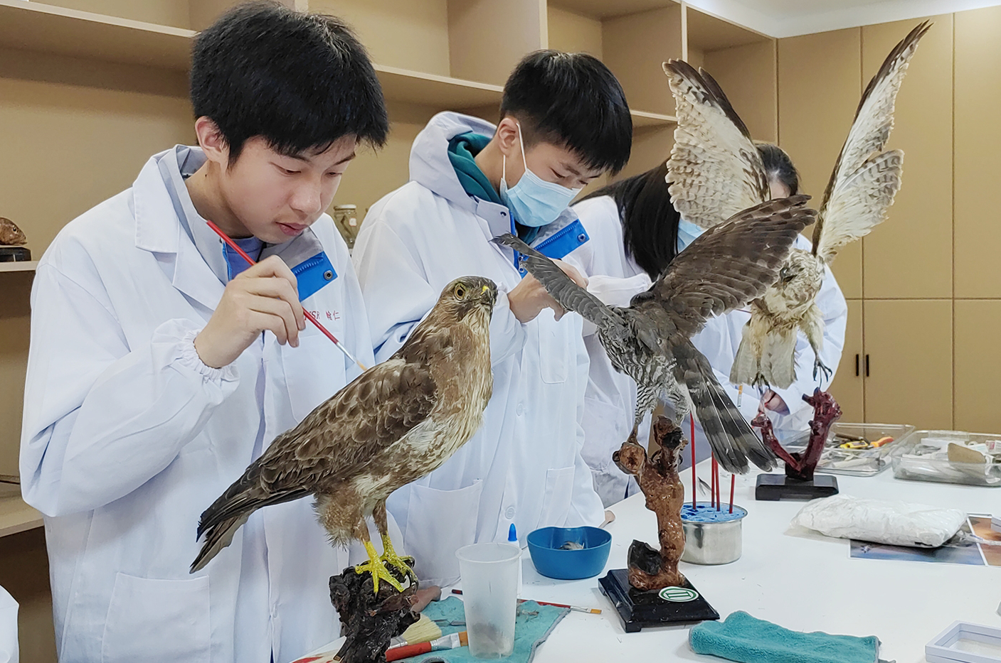 生命科学特长生,生命科学特长生考试内容 生命科学特长生,生命科学特长生考试内容